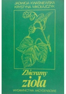 Zbieramy zioła