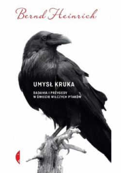 Umysł kruka Badania i przygody w świecie wilczych ptaków