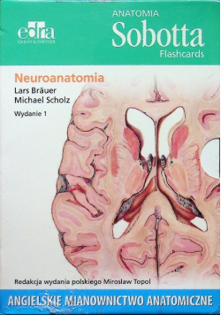 Anatomia Sobotta Flashcards Neuroanatomia