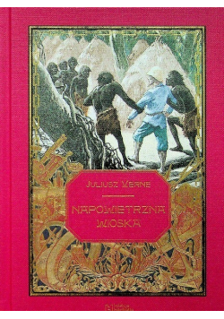 Napowietrzna wioska