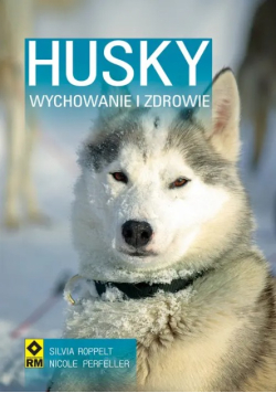 Husky Syberyjski