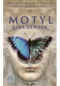 Motyl