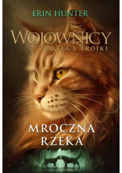 Mroczna rzeka
