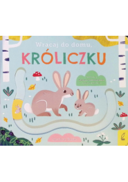 Wracaj do domu, króliczku