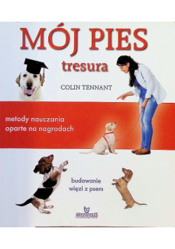 Mój pies tresura metody nauczania oparte na nagrodach