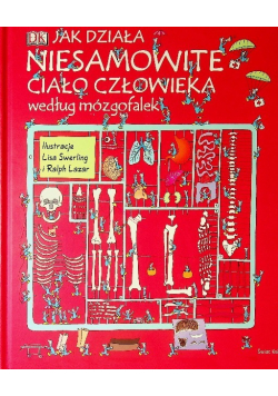 Jak działa niesamowite ciało człowieka według mózgofalek