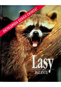 Lasy Iglaste