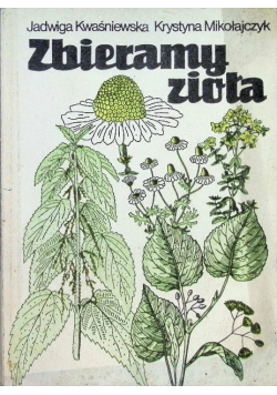 Zbieramy zioła