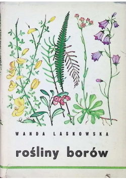 Rośliny borów