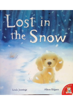 Lost in the snow