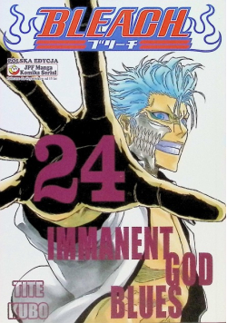 Bleach Tom 24