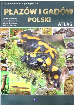 Ilustrowana encyklopedia płazów i gadów Polski Atlas