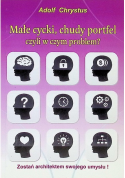 Małe cycki chudy portfel czyli w czym problem
