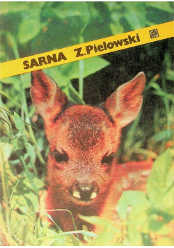 Sarna