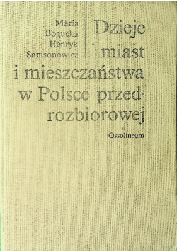 Dzieje miast i mieszczaństwa w Polsce przedrozbiorowej
