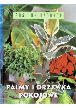 Palmy i drzewka pokojowe