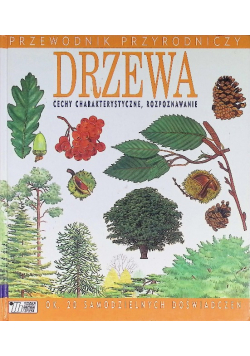 Drzewa cechy charakterystyczne rozpoznawanie