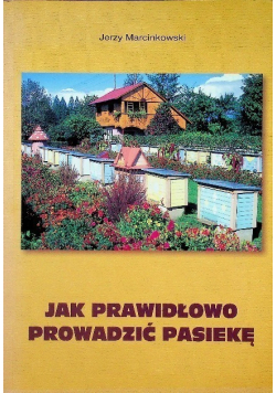 Jak prawidłowo prowadzić pasiekę