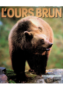 L'ours brun