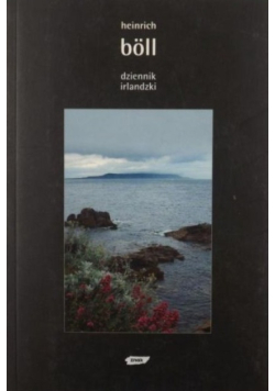 Dziennik irlandzki