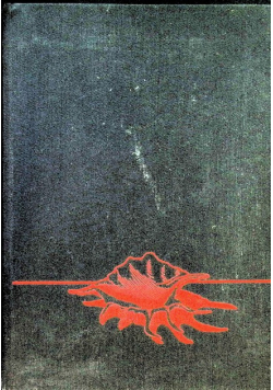 Wyspy bezludne