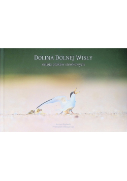 Dolina Dolnej Wisły – ostoja ptaków siewkowych