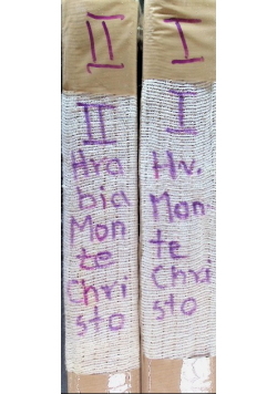 Hrabia Monte Christo Tom I i II