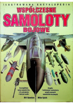 Współczesne samoloty bojowe