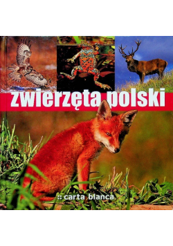 Zwierzęta polski