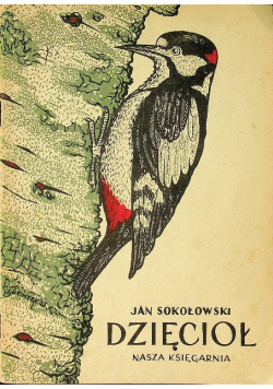 Dzięcioł