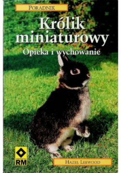 Królik miniaturowy opieka i wychowanie