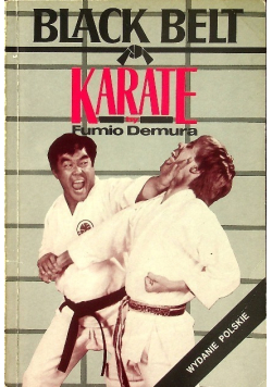 Black belt karate