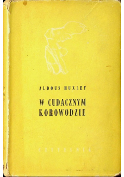 W cudacznym korowodzie