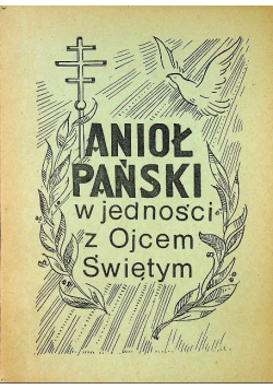 Anioł Pański w jedności z Ojcem Świętym