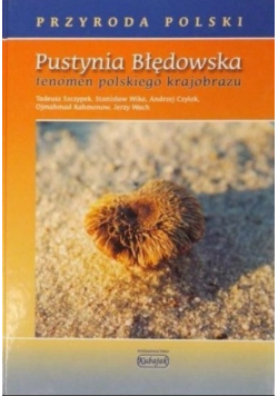 Pustynia Błędowska Fenomen polskiego krajobrazu