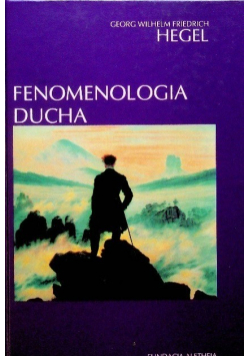 Fenomenologia ducha