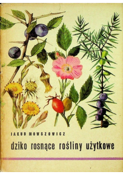 Dziko rosnące rośliny użytkowe