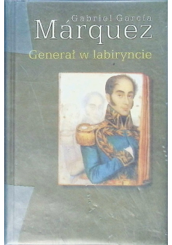 Generał w labiryncie