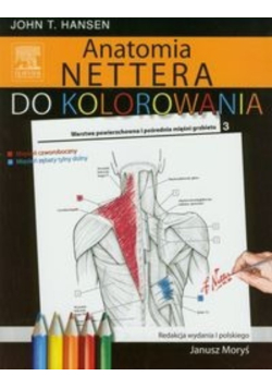 Anatomia Nettera do kolorowania