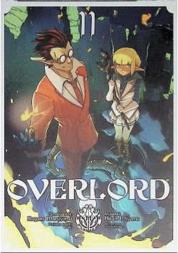 Overlord. Tom 11