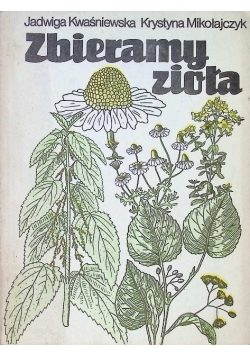 Zbieramy zioła