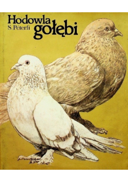 Hodowla gołębi