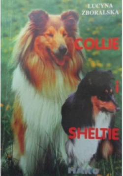 Collie i Sheltie
