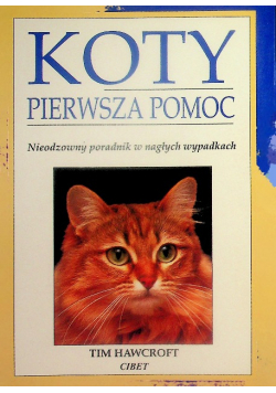 Koty pierwsza pomoc