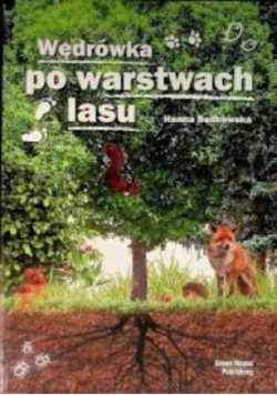 Wędrówka po warstwach lasu