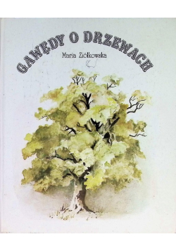 Gawędy o drzewach
