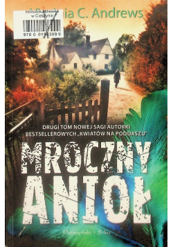 Mroczny anioł