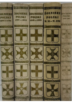 Żołnierz polski ubiór uzbrojenie i oporządzenie Tom 1 do 5