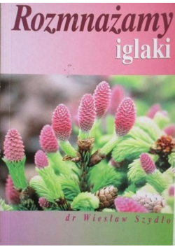 Rozmnażamy iglaki