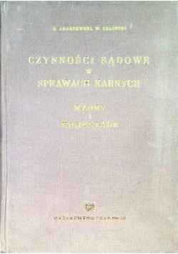 Czynności sądowe w sprawach karnych